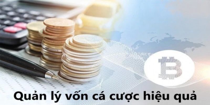 Quản lý vốn ổn định, đặt cược có chiến thuật rõ ràng