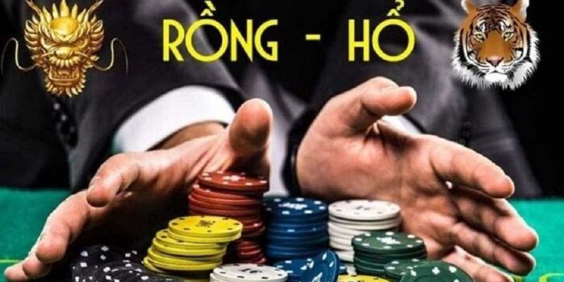 Trình tự một ván cược Dragon Tiger diễn ra tại Kubet